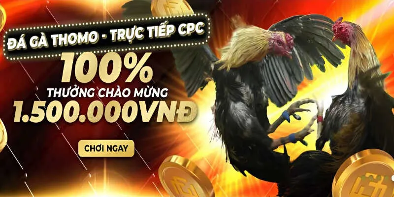 Đá Gà Good88 - Sân Chơi Đẳng Cấp Bậc Nhất 2 Đá Gà Good88 chất lượng, thưởng cao, an toàn